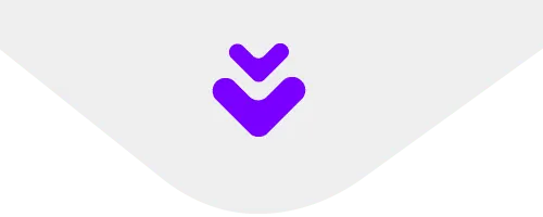 Seta